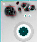 Assembly inspection for conformal coating inspection.